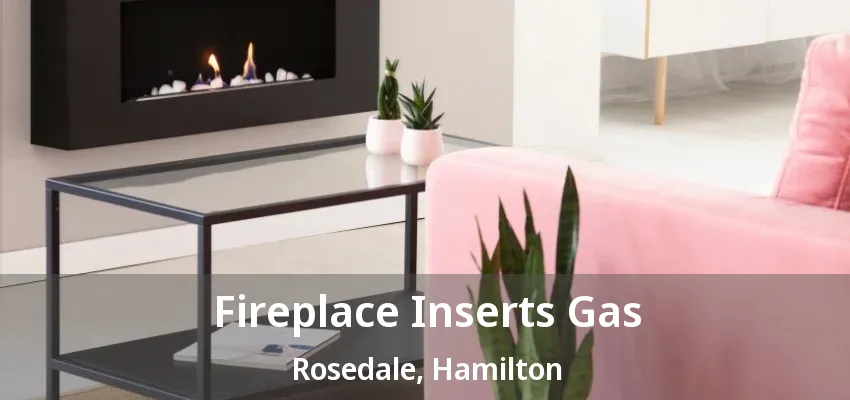Fireplace Inserts Gas Rosedale, Hamilton - ON
