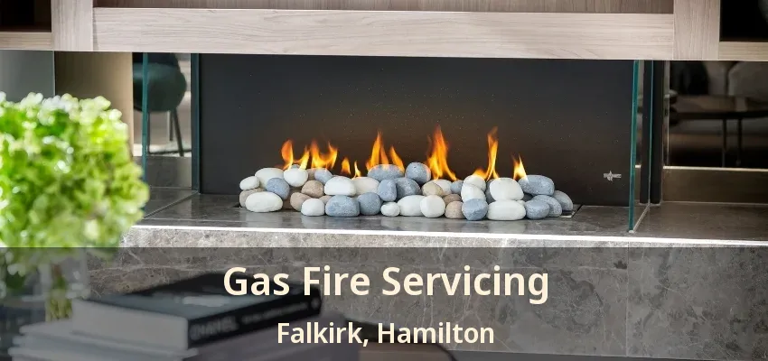 Gas Fire Servicing Falkirk, Hamilton - ON Gas Fire Servicing Falkirk, Hamilton - ON