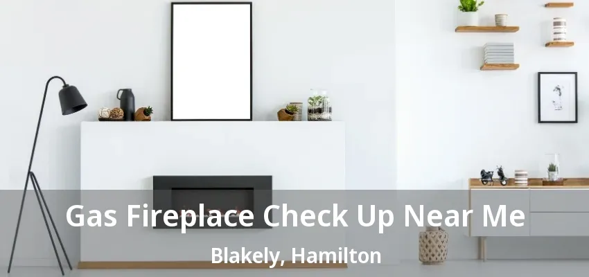 Gas Fireplace Check Up Near Me Blakely, Hamilton - ON