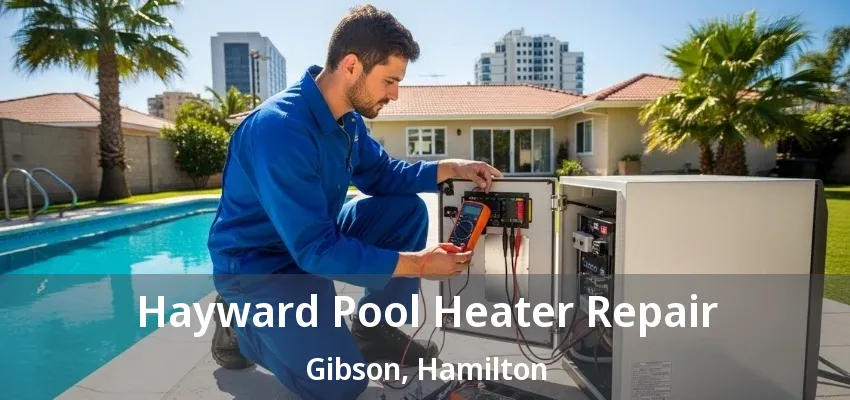Hayward Pool Heater Repair Gibson, Hamilton - ON Hayward Pool Heater Repair Gibson, Hamilton - ON