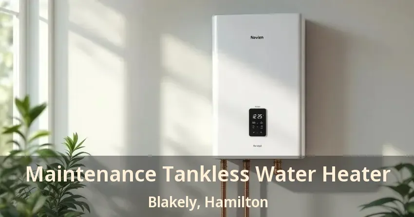 Maintenance Tankless Water Heater Blakely, Hamilton - ON Maintenance Tankless Water Heater Blakely, Hamilton - ON