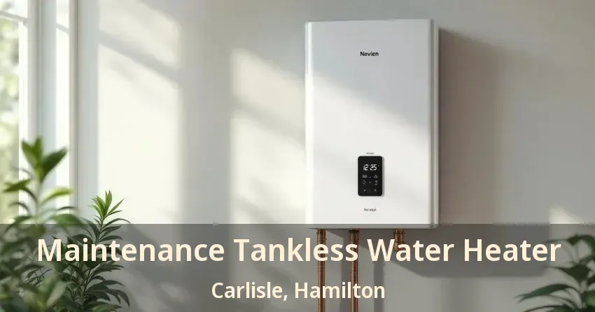 Maintenance Tankless Water Heater Carlisle, Hamilton - ON Maintenance Tankless Water Heater Carlisle, Hamilton - ON