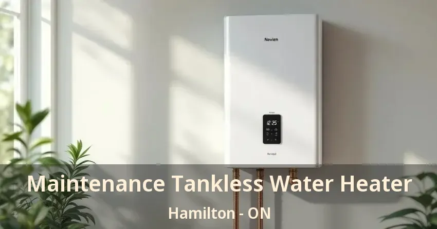 Maintenance Tankless Water Heater Hamilton - ON Maintenance Tankless Water Heater Hamilton - ON