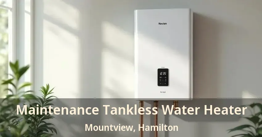 Maintenance Tankless Water Heater Mountview, Hamilton - ON Maintenance Tankless Water Heater Mountview, Hamilton - ON