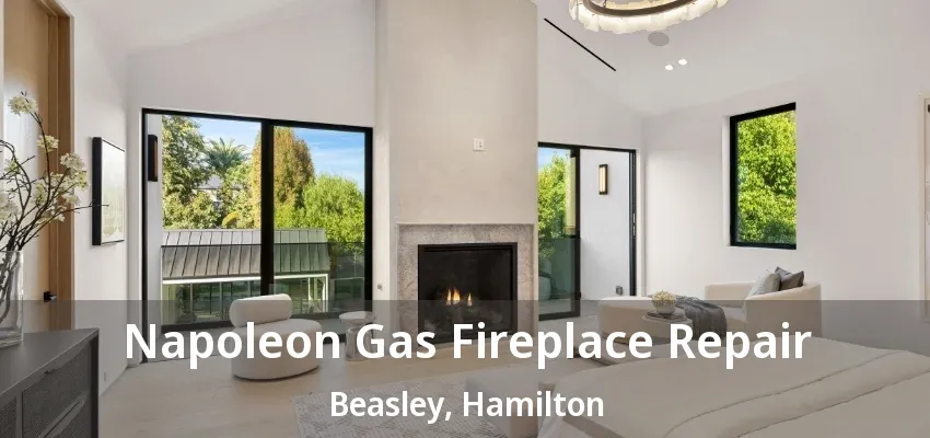 Napoleon Gas Fireplace Repair Beasley, Hamilton - ON Napoleon Gas Fireplace Repair Beasley, Hamilton - ON