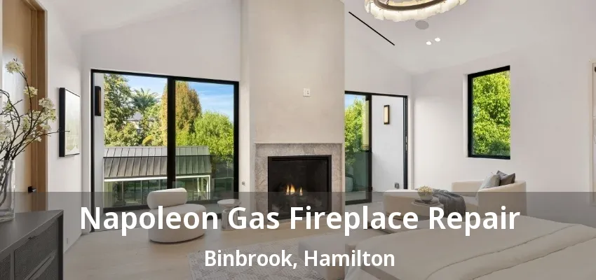 Napoleon Gas Fireplace Repair Binbrook, Hamilton - ON Napoleon Gas Fireplace Repair Binbrook, Hamilton - ON