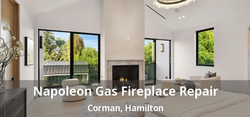 Napoleon Gas Fireplace Repair Corman, Hamilton - ON Napoleon Gas Fireplace Repair Corman, Hamilton - ON