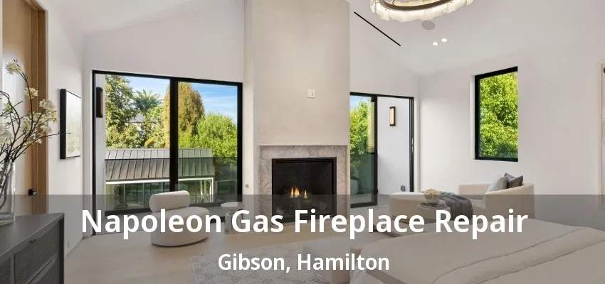 Napoleon Gas Fireplace Repair Gibson, Hamilton - ON Napoleon Gas Fireplace Repair Gibson, Hamilton - ON