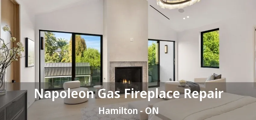 Napoleon Gas Fireplace Repair Hamilton - ON Napoleon Gas Fireplace Repair Hamilton - ON