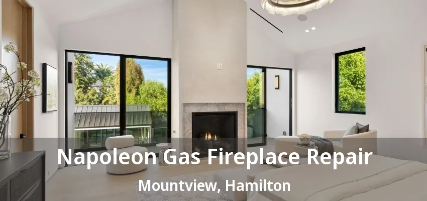 Napoleon Gas Fireplace Repair Mountview, Hamilton - ON Napoleon Gas Fireplace Repair Mountview, Hamilton - ON