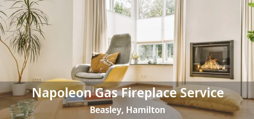 Napoleon Gas Fireplace Service Beasley, Hamilton - ON Napoleon Gas Fireplace Service Beasley, Hamilton - ON