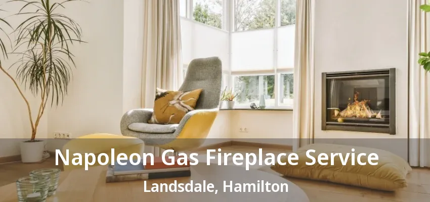 Napoleon Gas Fireplace Service Landsdale, Hamilton - ON Napoleon Gas Fireplace Service Landsdale, Hamilton - ON