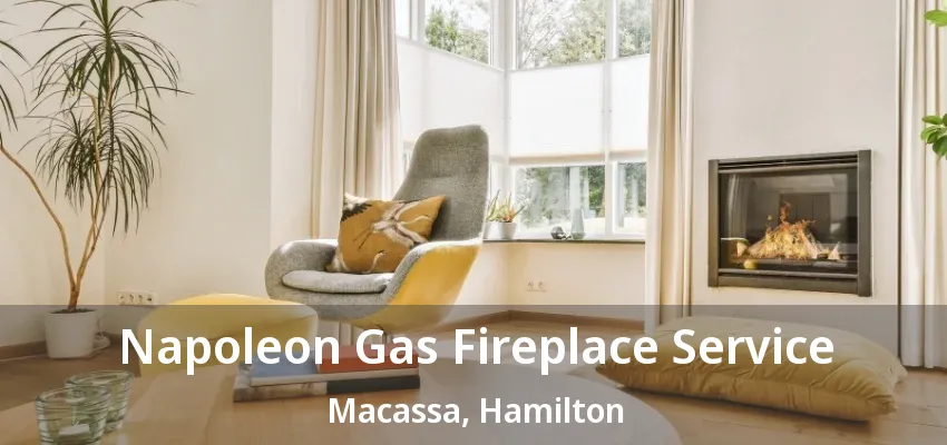 Napoleon Gas Fireplace Service Macassa, Hamilton - ON Napoleon Gas Fireplace Service Macassa, Hamilton - ON