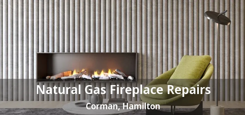 Natural Gas Fireplace Repairs Corman, Hamilton - ON