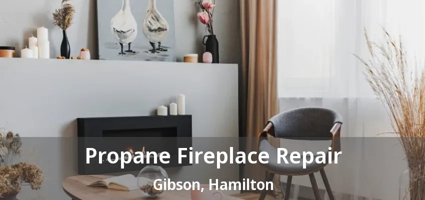 Propane Fireplace Repair Gibson, Hamilton - ON Propane Fireplace Repair Gibson, Hamilton - ON