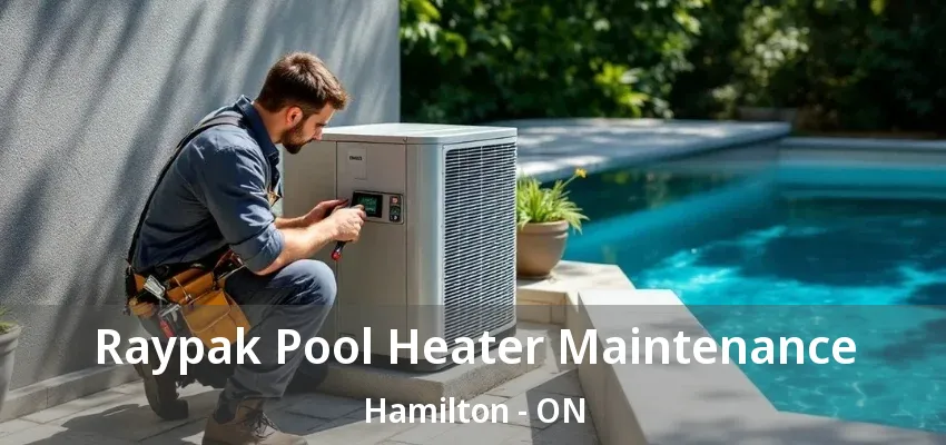 Raypak Pool Heater Maintenance Hamilton - ON