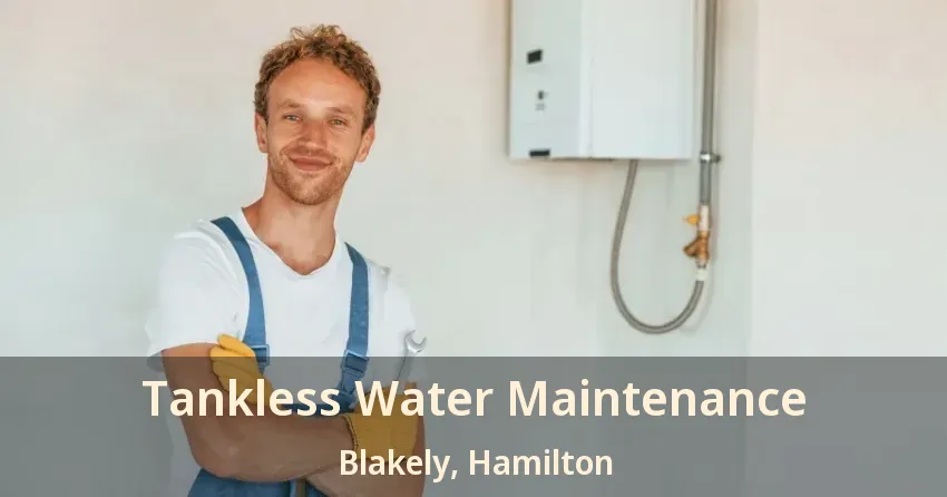 Tankless Water Maintenance Blakely, Hamilton - ON Tankless Water Maintenance Blakely, Hamilton - ON