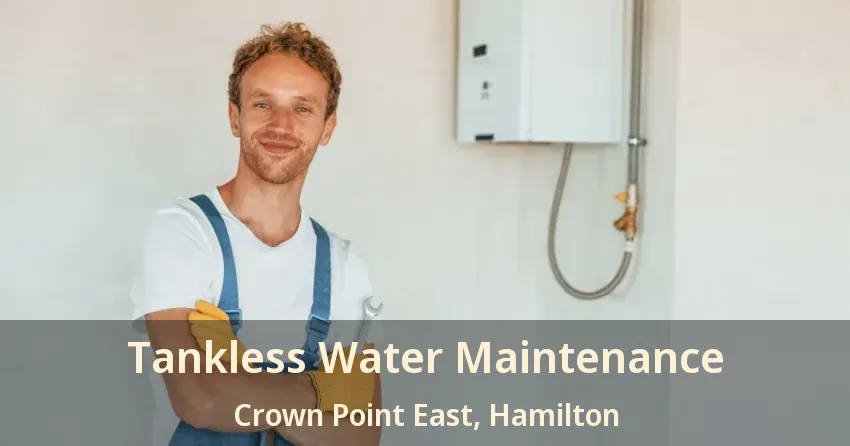 Tankless Water Maintenance Crown Point East, Hamilton - ON Tankless Water Maintenance Crown Point East, Hamilton - ON