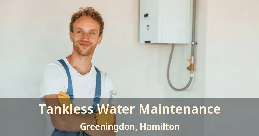 Tankless Water Maintenance Greeningdon, Hamilton - ON Tankless Water Maintenance Greeningdon, Hamilton - ON