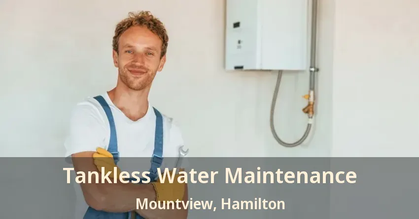 Tankless Water Maintenance Mountview, Hamilton - ON Tankless Water Maintenance Mountview, Hamilton - ON