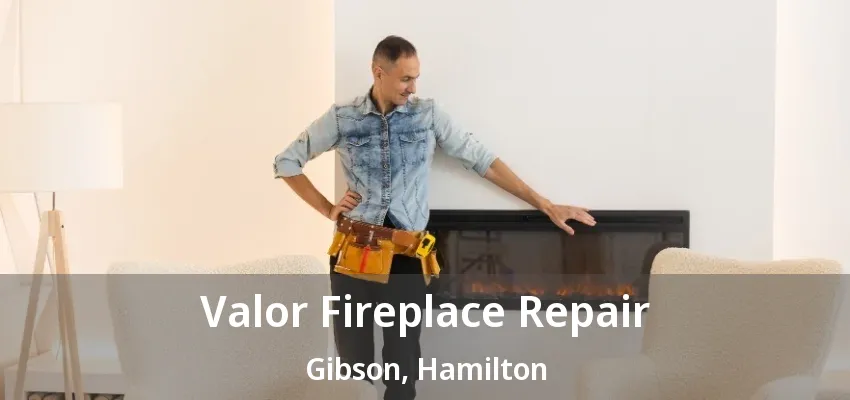 Valor Fireplace Repair Gibson, Hamilton - ON Valor Fireplace Repair Gibson, Hamilton - ON