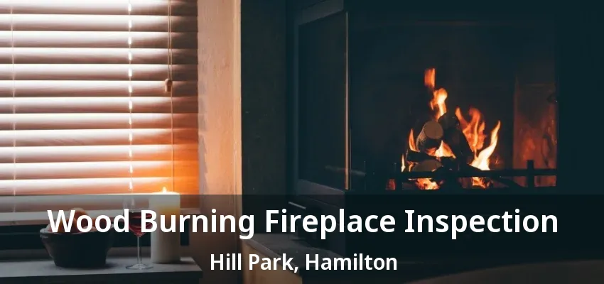 Wood Burning Fireplace Inspection Hill Park, Hamilton - ON