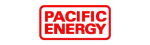 Pacific Energy Regency Gas Fireplace Repair in Hamilton